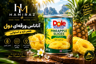 قیمت خرید و فروش آناناس ۵۶۵ امریکن دول